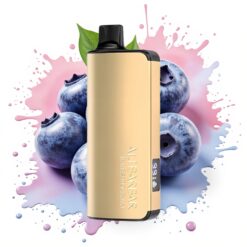 Alibarbar Ingot 9000 Puffs 22ml 2350mAh Blueberry Blast