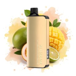 Alibarbar Ingot 9000 Puffs 22ml 2350mAh LED Display Passionfruit Mango Lime