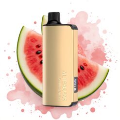 Alibarbar Ingot 9000 Puffs 22ml Watermelon Ice