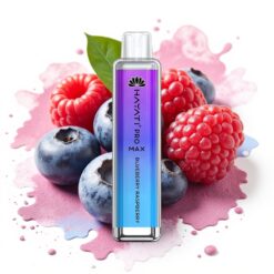 Hayati Pro Max 4000 Puffs Dual Mesh Coil 1400mAh Rechargeable Blueberry Raspberry