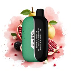 IGET Moon K5000 Puffs 1.35 Ohm Mesh Blackberry Pomegranate Snow Pear