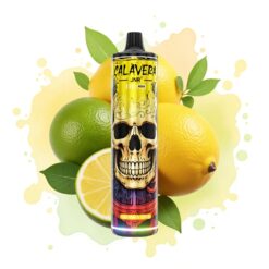 JNR Calavera 11000 Puffs 21ml 850mAh Type-C Lemon & Lime
