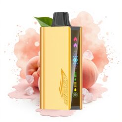 JNR Cruiser 12000 Puffs No-Charge 25ml Dual Mesh Peach Ice