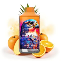 JNR Falcon 16000 Puffs 850mAh 22ml Dual Mesh Coil Pineapple Mango Orange