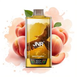 JNR Falcon Pro 28000 30ml 5% Juicy Peaches