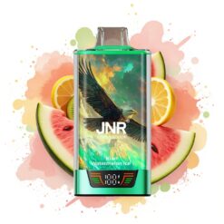 JNR Falcon Pro 28000 30ml 5% Smart Display Dual Mesh Kiwi Watermelon Ice