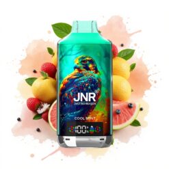 JNR Falcon X 18000 Puffs 750mAh 24ml Dual Mesh Coil Digital Display Type-C Cool Mint