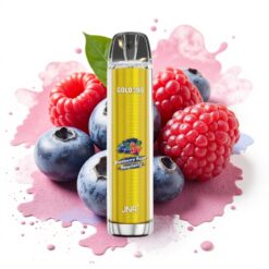 JNR Gold380 6000 Puffs 1500mAh 13ml Blueberry Sour Raspberry