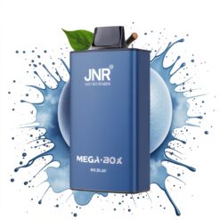 JNR Mega Box 25000 Puffs 30ml 850mAh Dual Mesh Type-C Mr Blue