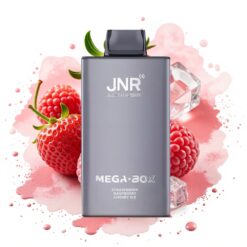 JNR Mega Box 25000 Puffs 30ml 850mAh Dual Mesh Type-C Strawberry Raspberry Cherry Ice