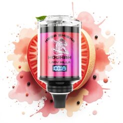 JNR Mega Shisha Hookah 100K Desktop Compatibility 60mL 2200mAh Type-C Lady Killa