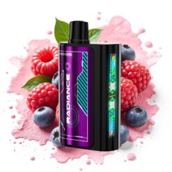JNR Radiance 31000 Puffs 28ml Dual Mesh BLUEBERRY SOUR RASPBERRY