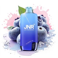 JNR Rainbow 10500 Puffs 18ml Blueberry Ice Disposable Vape