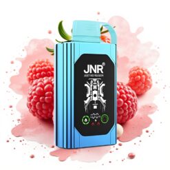JNR Shisha Hookah Box 20500 Puffs HD Display 1000mAh Dual Mesh Coil Strawberry Raspberry Candy